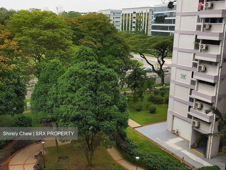 Blk 538 Ang Mo Kio Avenue 5 (Ang Mo Kio), HDB 4 Rooms #169542372